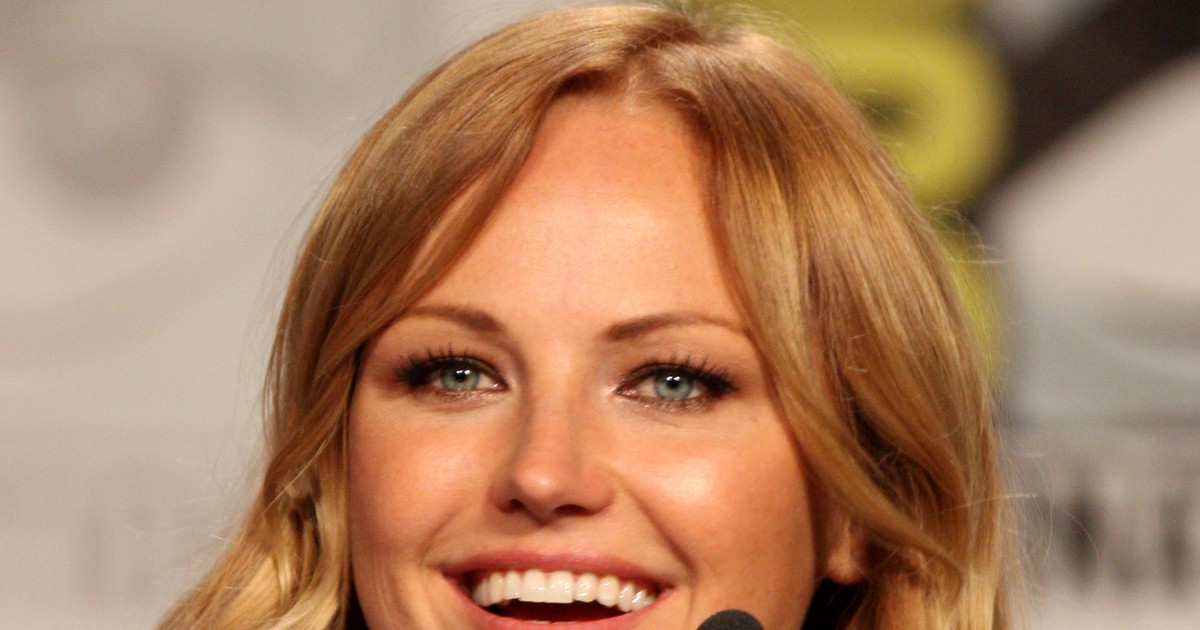 Malin Akerman at a panel discussion