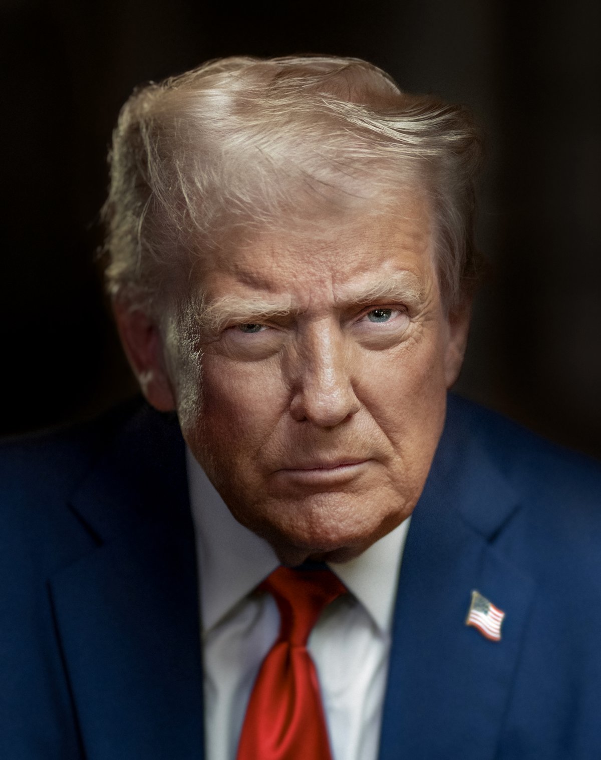 President Donald Trump in his official portrait